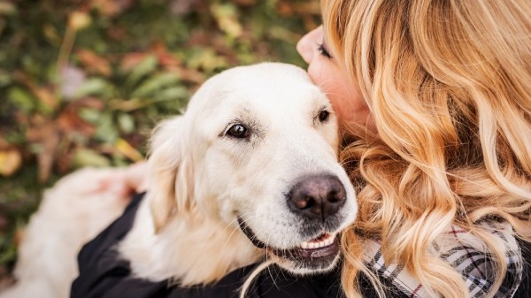 Individual Pet Cremation